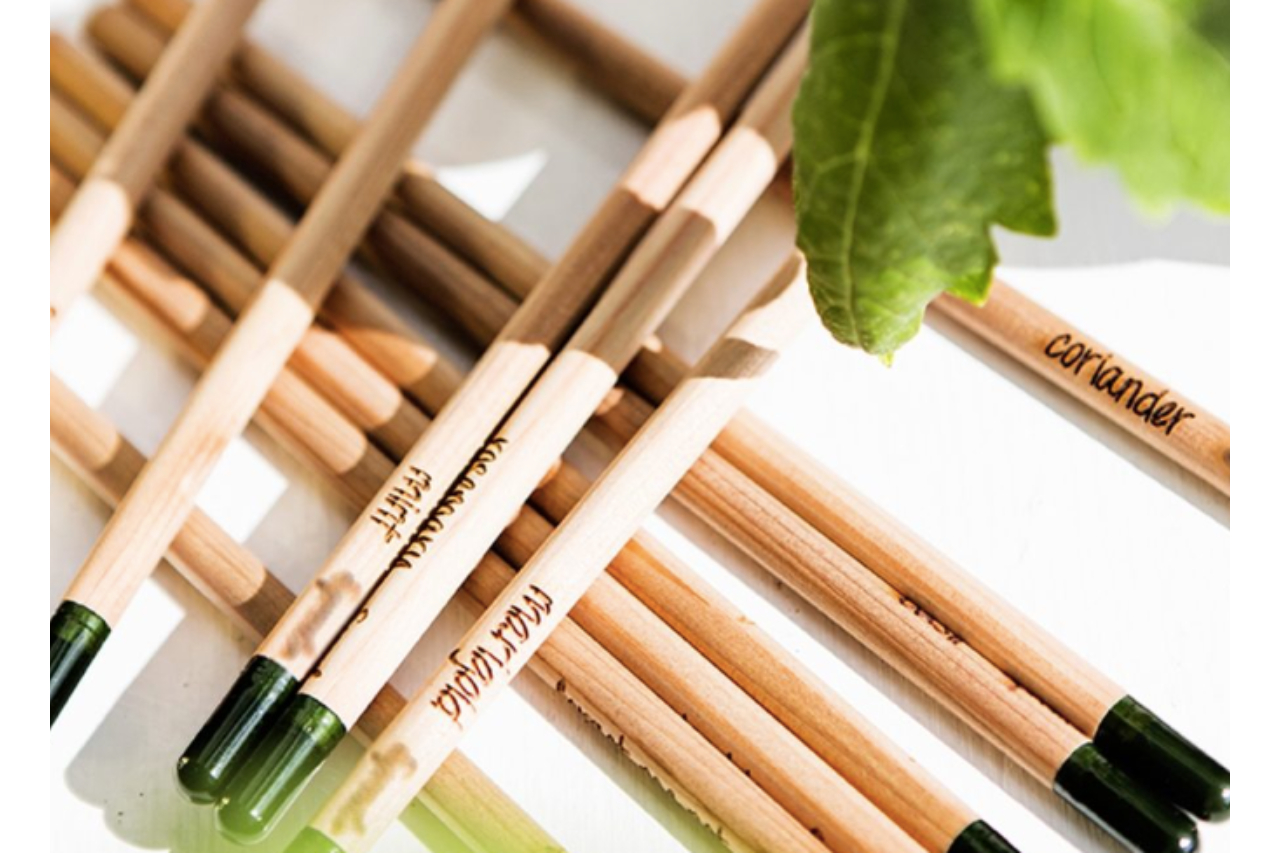 <p>Ged Group wooden pencils contain plant seeds </p>
<p>such as daisy and basil and can be planted at the end of their useful life</p>
